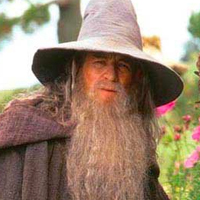 Grandalf the Grey